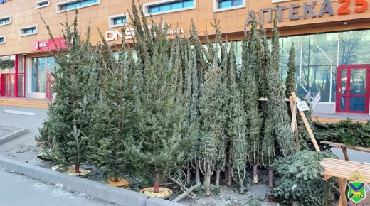 ����������� ������������ �������� ����� �� ���������� ������ �������� ������ � ������������ ��� ����� ������