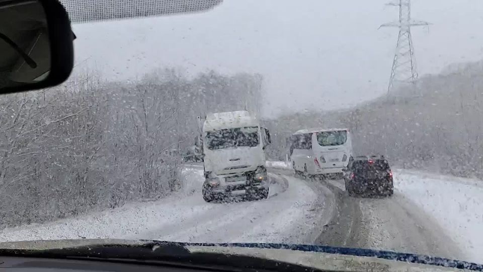 #�������� �� ������ �����������-������� �� ������ ����� ��������� "����"