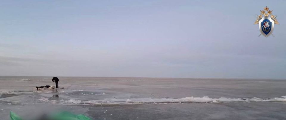 � ���������� ������ ���������� ��������� ���� �� ����� ������ ����� �� ������ �������