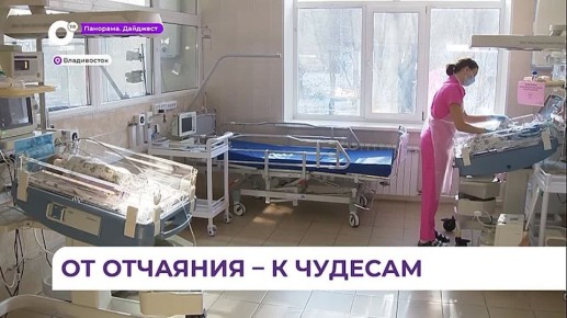 ��������� ��������� ���������� ����� ������ ����� 14-������ ���������