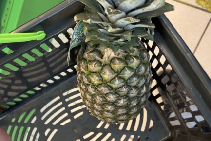 �������� �� ����������: ��� �������� ��� �������� �� ������� � ��������