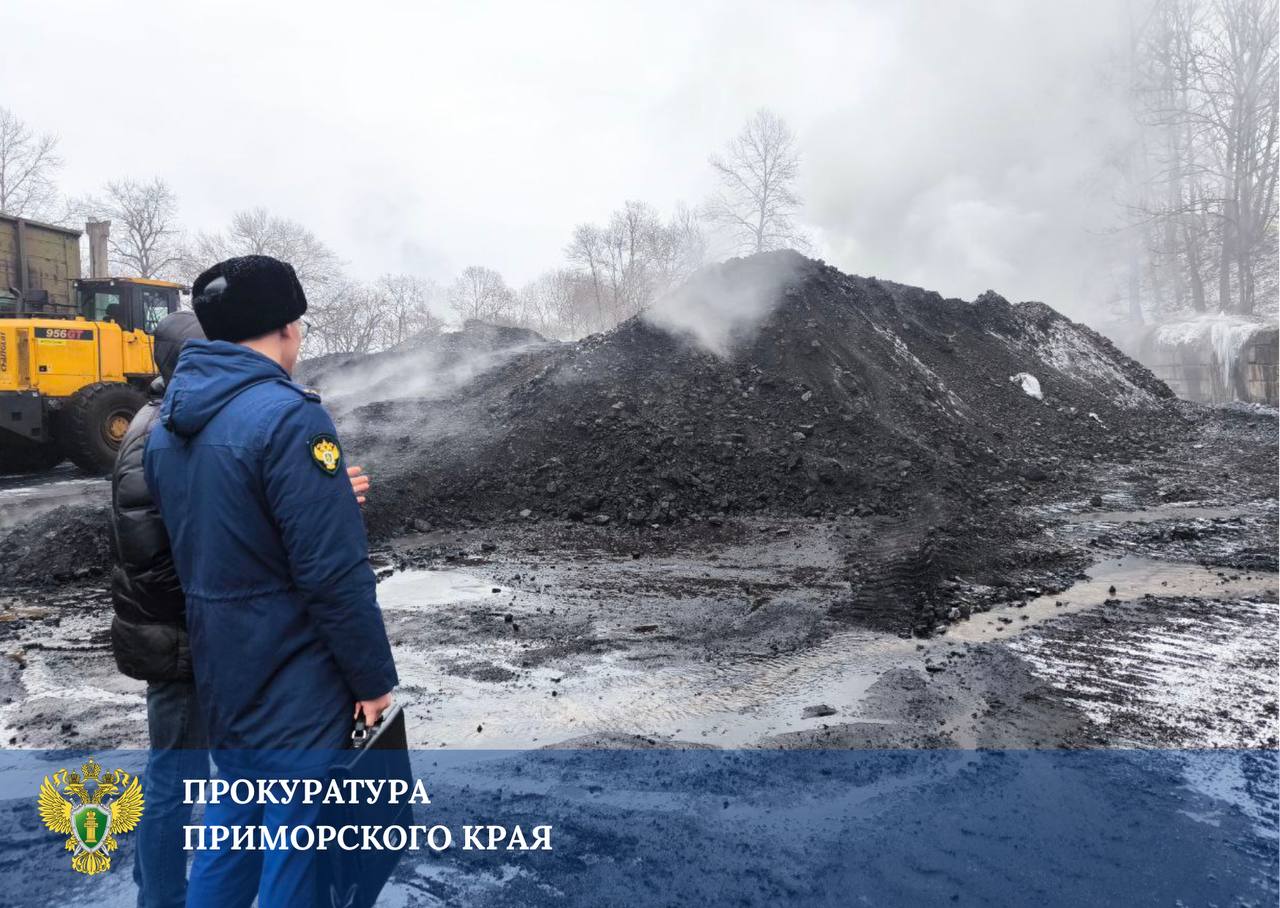 Прокуратура взяла на контроль установление обстоятельств пожара на угольном складе в Находке Прокуратура взяла на контроль установление обстоятельств пожара на угольном складе в Находке