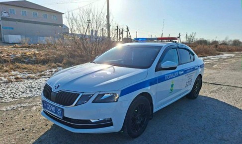 � ������ ���������� ���������������� ���������� �������������� ��� � ������ ���������� �����