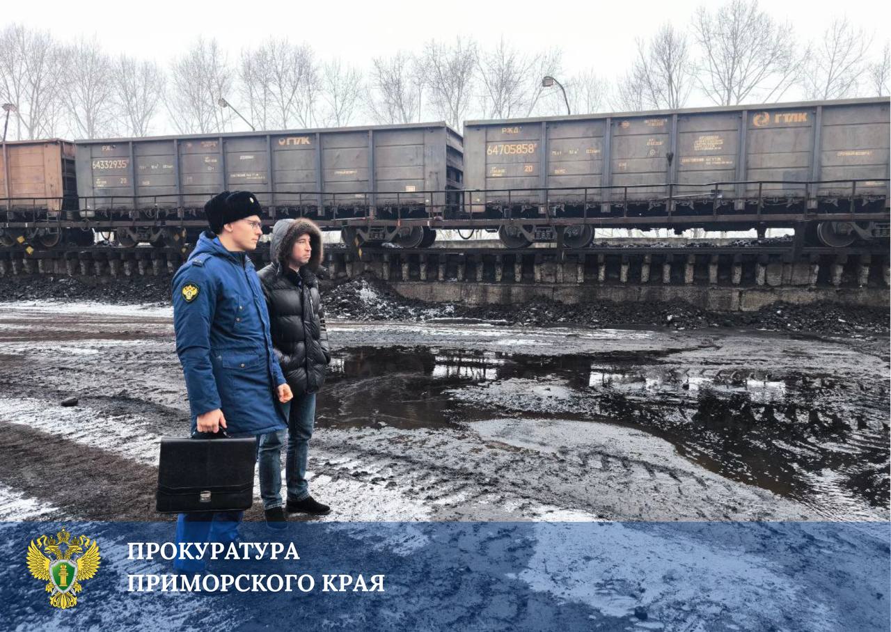 Прокуратура взяла на контроль установление обстоятельств пожара на угольном складе в Находке
