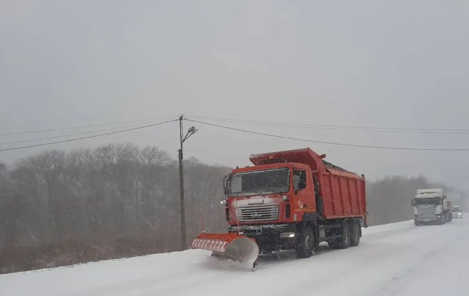 ����������� ������� ����������� ����� ������� � ��������� ������ ����� � ������� � ���� ��������� � 82 �� 100 ���������