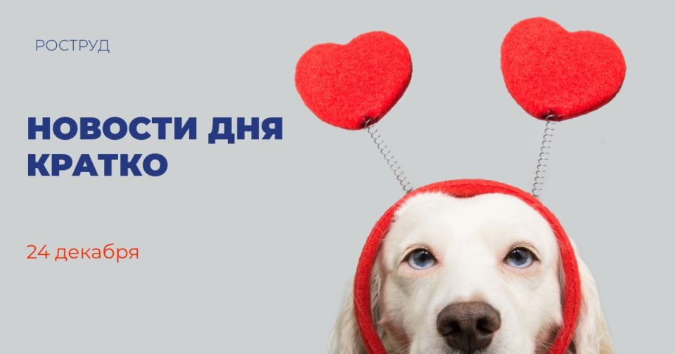 Правительство направит ряду регионов более 400 млн рублей на профилактику сердечно-сосудистых заболеваний