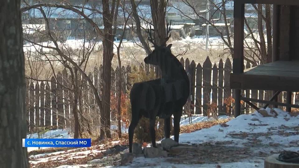 ����� ������������� ������ �������� ������ �������-��������