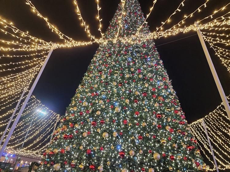 ������� 25 ������� �� ������� ������� ������������ �������� ����������� ���������� �����������