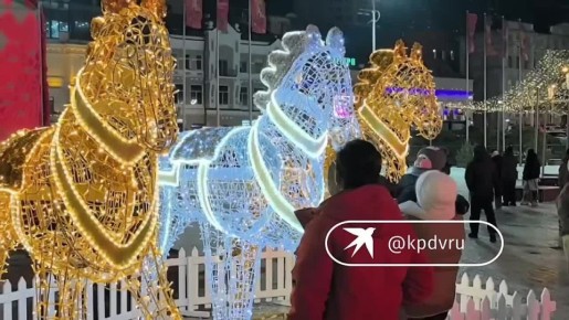 На площади Борцов Революции Владивостока заработал новогодний городок