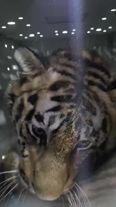 � ���� ������� �� ��� �������� ������� �����