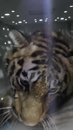 � ���� ������� �� ��� �������� ������� �����