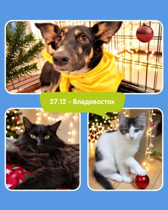 Друзья, радостные новости для всех неравнодушных