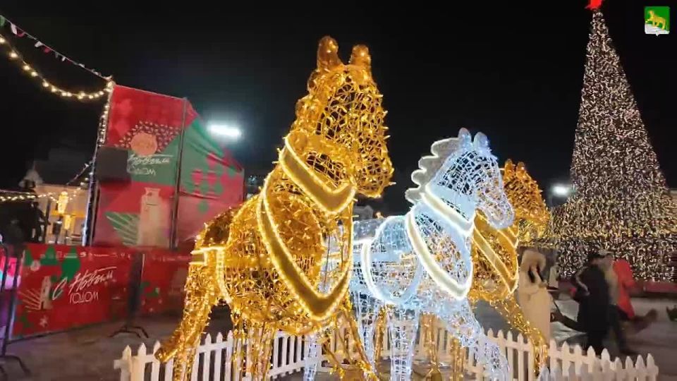 Новогодний городок открыли на центральной площади Владивостока