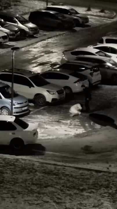 В Приморском крае полиция разыскивает агрессивного мужчину, который с кулаками набросился на двух женщин