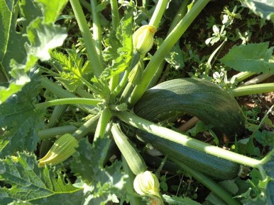 ��� ������� ��������� ����� �������� ��� ������� ������