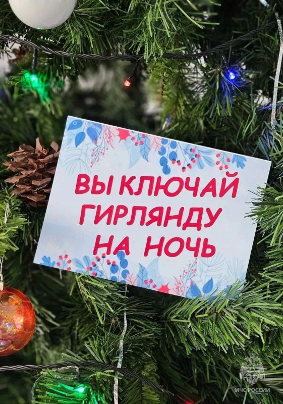 МЧС России по праву: новогодний свет без тёмных последствий