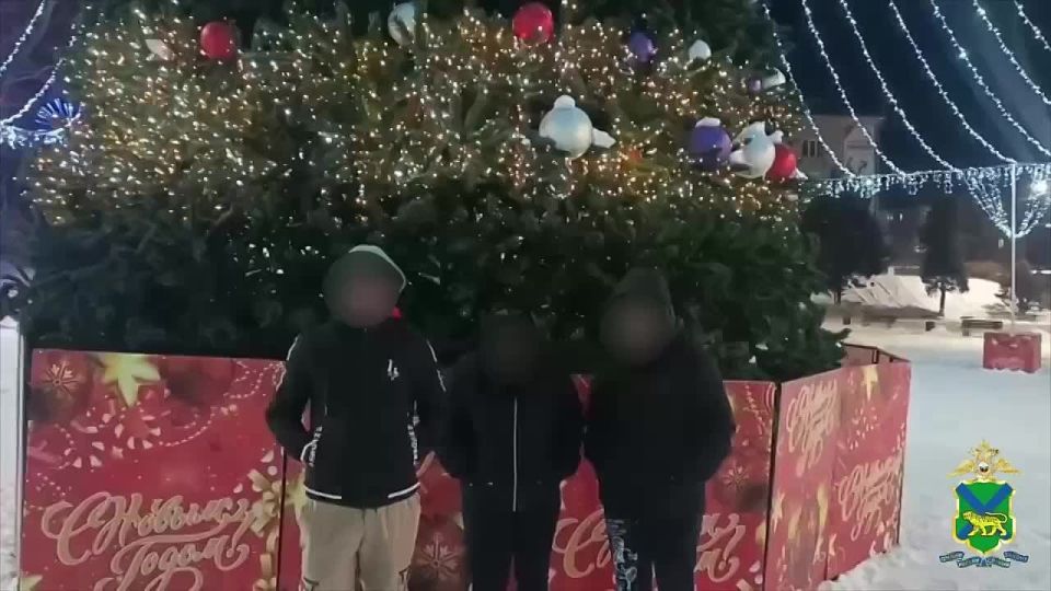 "Не совершайте наших ошибок": укравшие шары с праздничной ёлки в Партизанске извинились перед жителями города