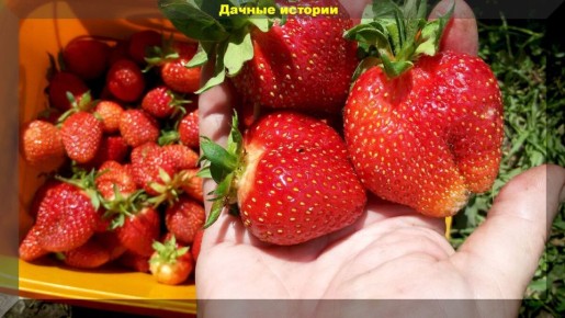 ������������� � ������� ������� ��������