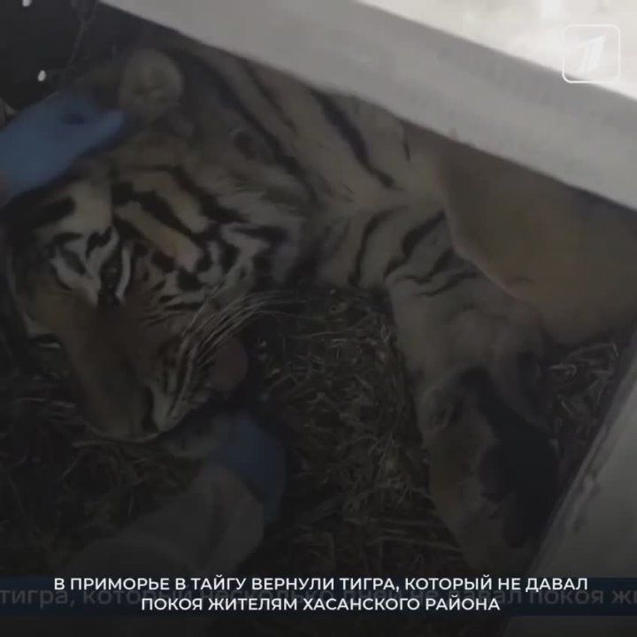  �������� ������ ������� �����, ������� ������� ����� ������� ���������� ������