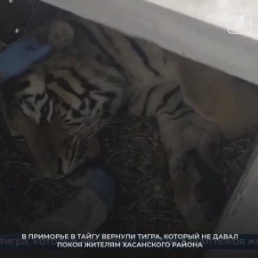  �������� ������ ������� �����, ������� ������� ����� ������� ���������� ������