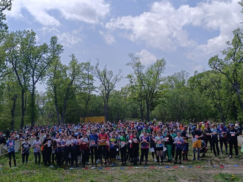 Взяли верный азимут: итоги года федерации спортивного ориентирования Приморья