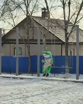 В Приморье на детской площадке наблюдали необычную картину