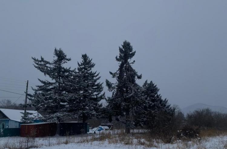 Стало известно, какой погодой закончится 2025 год в Приморье