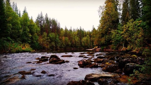 ������� ����� � ����: ������ ���� ����������