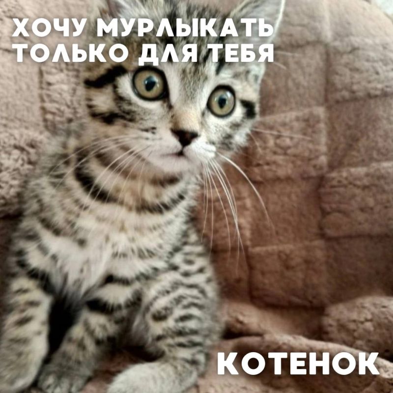 ������� � ������� #���_�������� ������� ����������� �� ����� �����������, ������� ����� ���� ����� �������������� �������� �� ��������� ���������� � ���� �� ������ ���