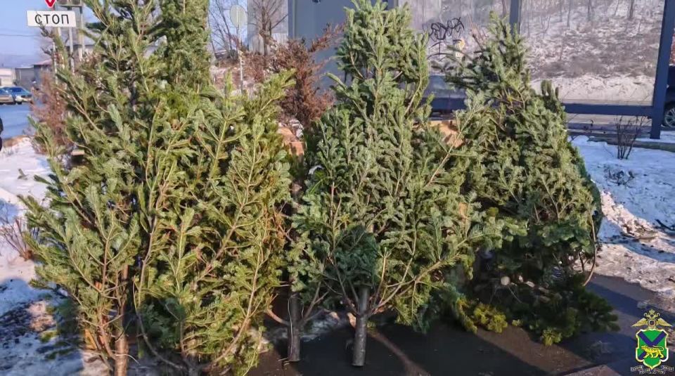 ����������� ������������ ���������� ����� �� ���������� ������ ������������������� �������� ������