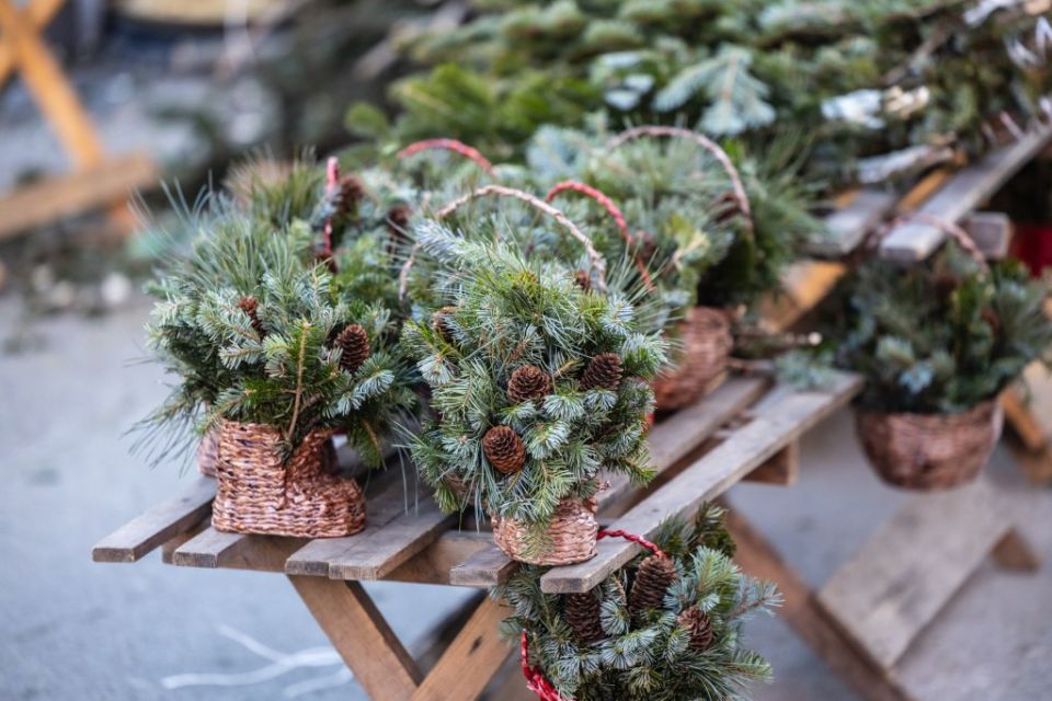 ���������� ���� ����� ���������� ������ ������������ �� 19 �������