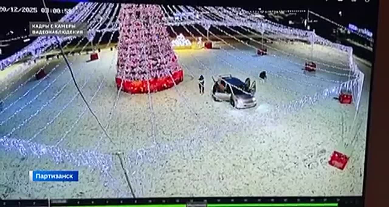 Похитители новогоднего настроения орудуют во Владивостоке