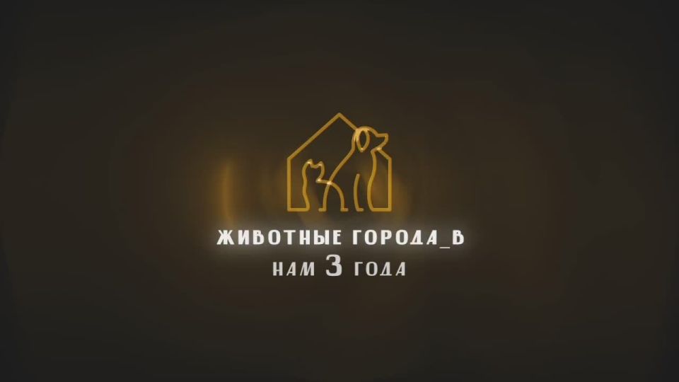 �� �������� ����� ������ ������� �� ���� ��� � �� ���� ���� ����� ������������� ����, ��� ��� ����� � ����������� ��� �� ���� ����