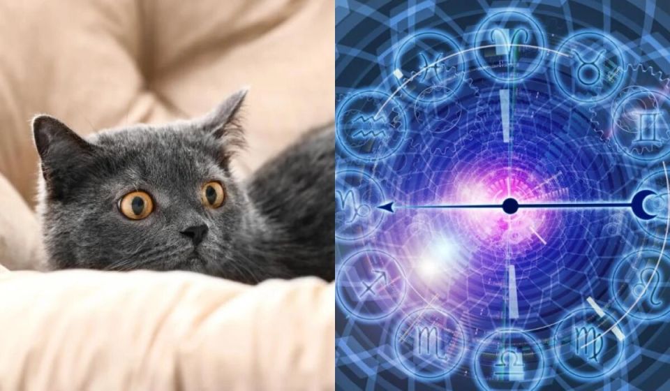 ��� ������ ����� ����� ���������� � ����� �������