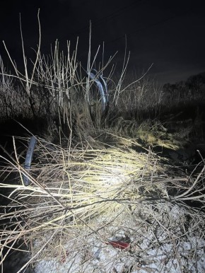 � ������ ����������� ���� ���������� ���������������� ������������� �������������� ��� � ��������