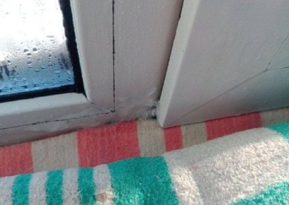 �������� ������������ �� ������ ����������� ��������� ������� �������� �� ������������