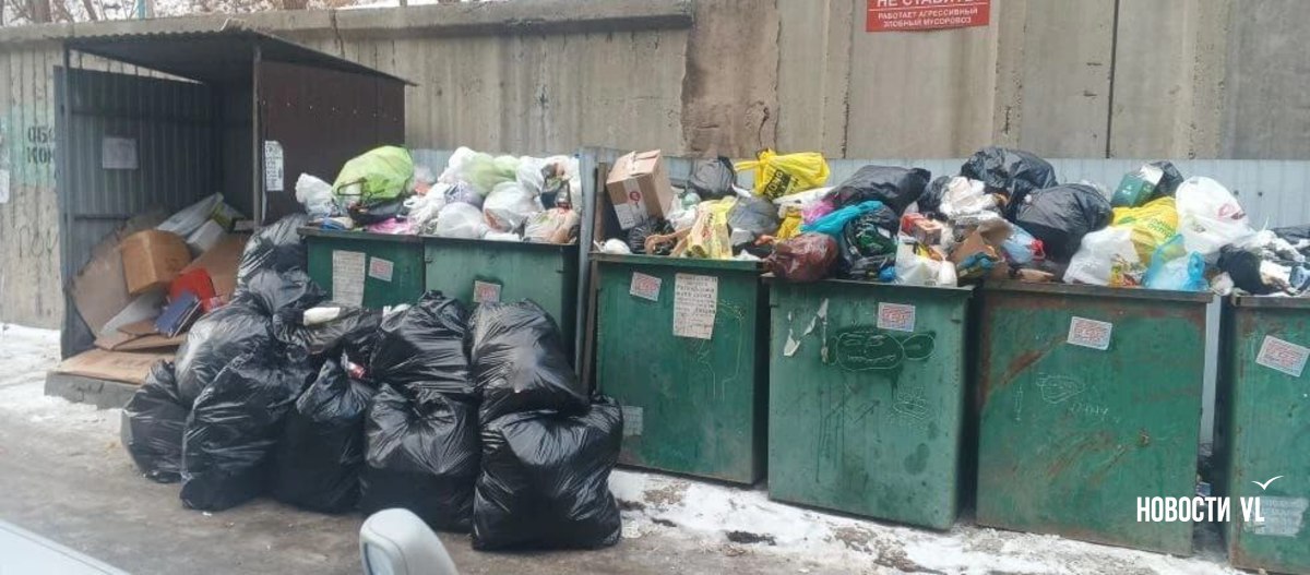 Жители Владивостока жалуются на растущие свалки во дворах Жители Владивостока жалуются на растущие свалки во дворах