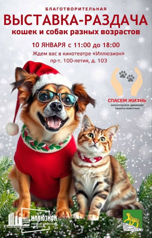 10 января в кинотеатре «Иллюзион» состоится благотворительная выставка-раздача бездомных животных