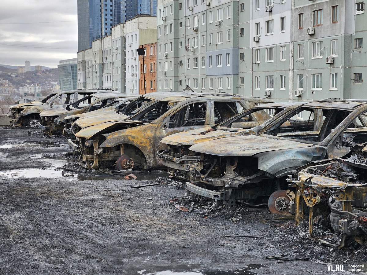 Киты и русалки, пожары, муралы и даже машины на сапах: 2025 год в 36 фотографиях Новостей VL Киты и русалки, пожары, муралы и даже машины на сапах: 2025 год в 36 фотографиях Новостей VL