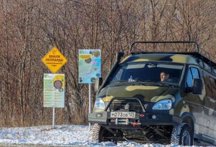 Охрану тигров и леопардов усилили в новогодние праздники в Приморье