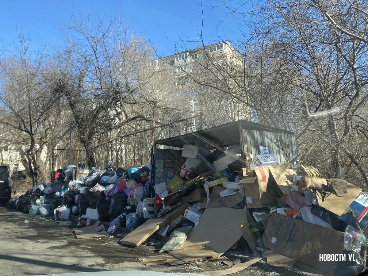 Жители Владивостока жалуются на растущие свалки во дворах Жители Владивостока жалуются на растущие свалки во дворах