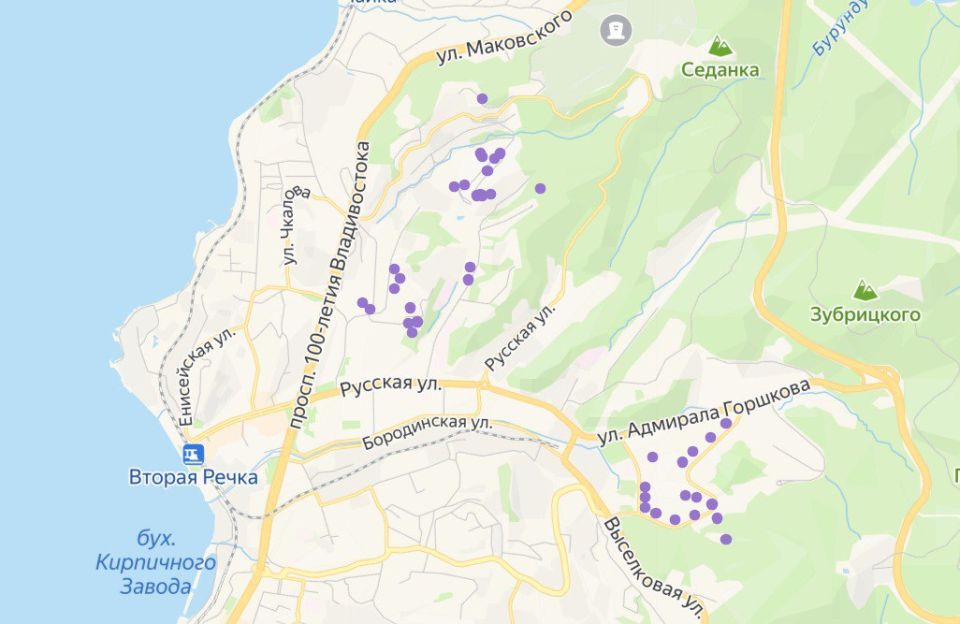 �� ������������ 40 ����� �� ������ ����� � � �������� ���� �������� ��� �������������