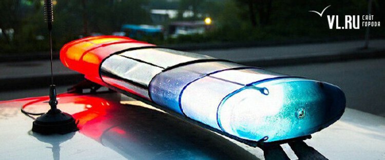 На жителя Владивостока, выбросившего собаку с 4 этажа, завели уголовное дело