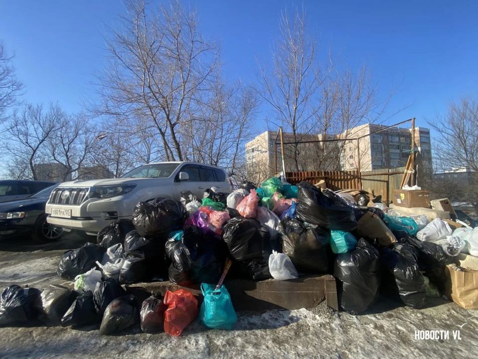 Жители Владивостока жалуются на растущие свалки во дворах