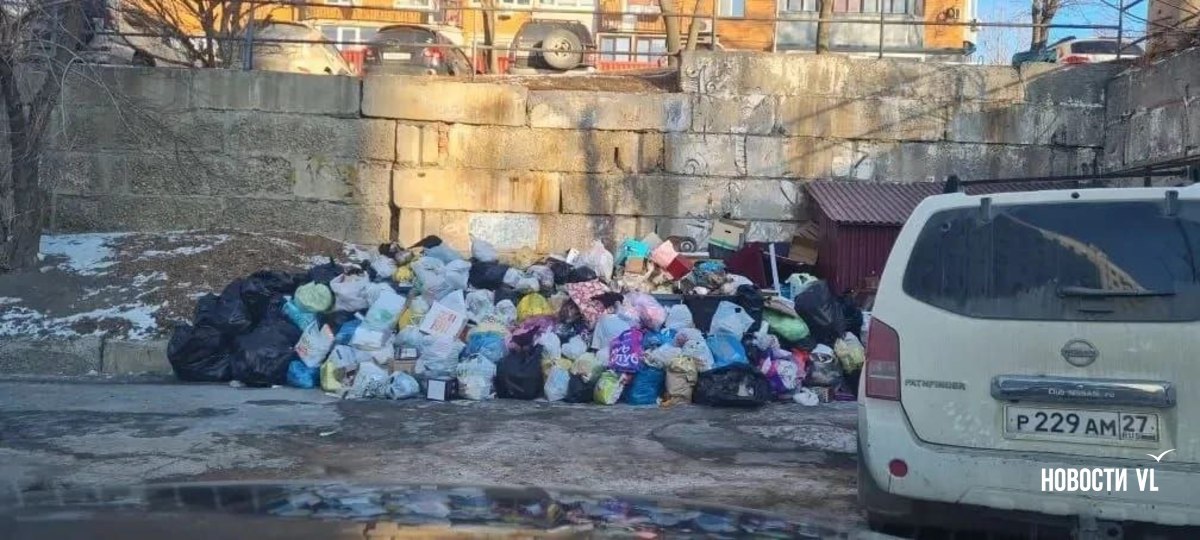 Жалобы на не вывезенный с улиц Владивостока мусор продолжают поступать Жалобы на не вывезенный с улиц Владивостока мусор продолжают поступать