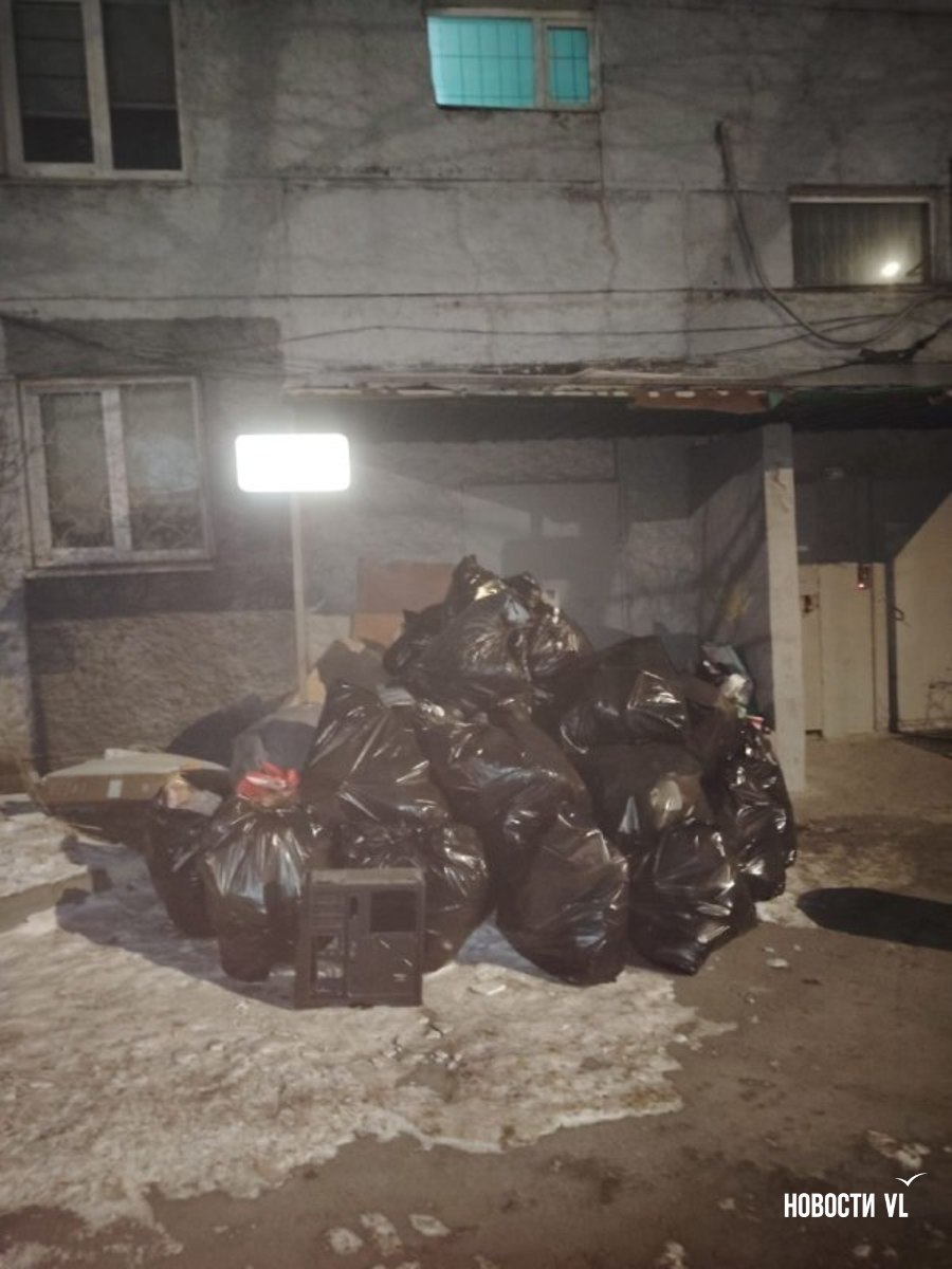 Жалобы на не вывезенный с улиц Владивостока мусор продолжают поступать Жалобы на не вывезенный с улиц Владивостока мусор продолжают поступать