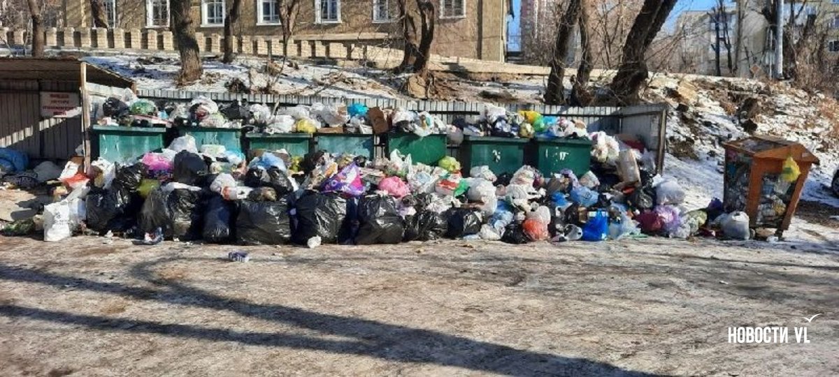 Жалобы на не вывезенный с улиц Владивостока мусор продолжают поступать Жалобы на не вывезенный с улиц Владивостока мусор продолжают поступать