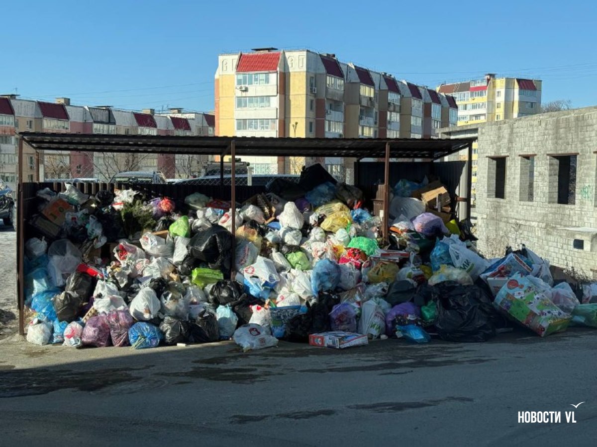 Жалобы на не вывезенный с улиц Владивостока мусор продолжают поступать Жалобы на не вывезенный с улиц Владивостока мусор продолжают поступать