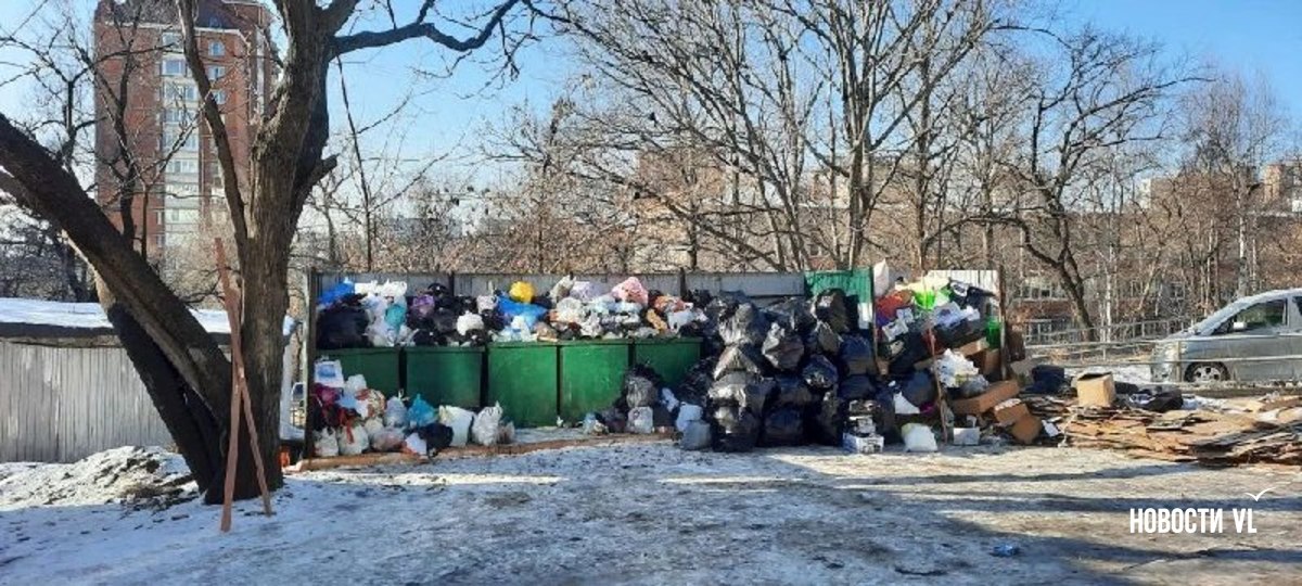 Жалобы на не вывезенный с улиц Владивостока мусор продолжают поступать