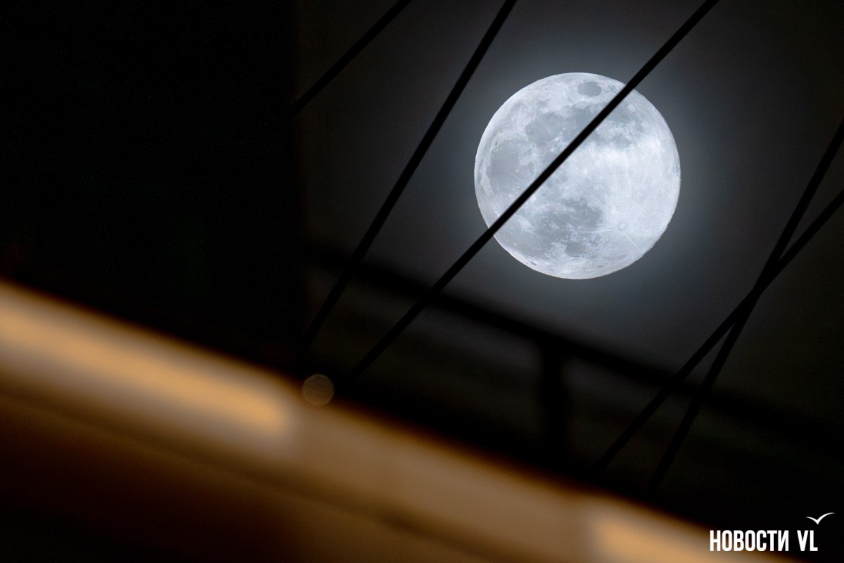 Над Владивостоком взошла «Волчья Луна» Над Владивостоком взошла «Волчья Луна»